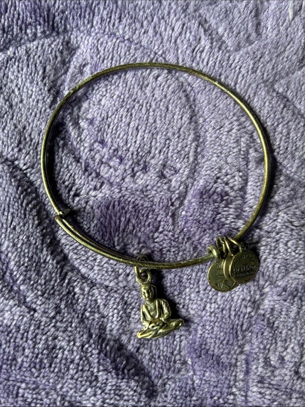 Alex and Ani Silver Tone Buddha Charm Bangle Bracelet - Gold
